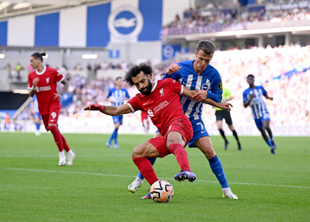 近日在接受 近日在接受