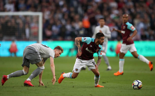 们展示了 们展示了