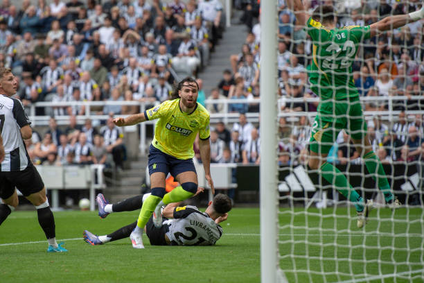 也为全球体 也为全球体